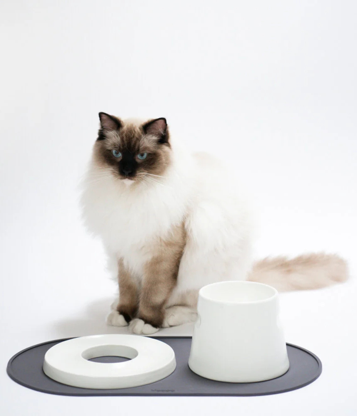 Gatto bianco con ciotole Tower e anello appoggiate su tappetino grigio. Sfondo bianco